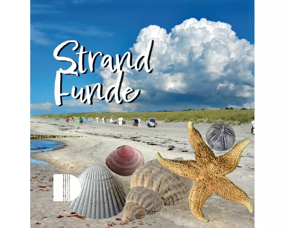 Strandfunde am Ostseestrand
