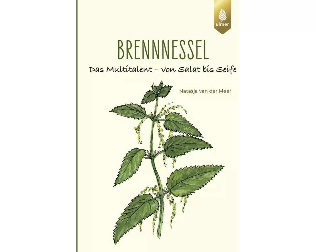 Brennnessel