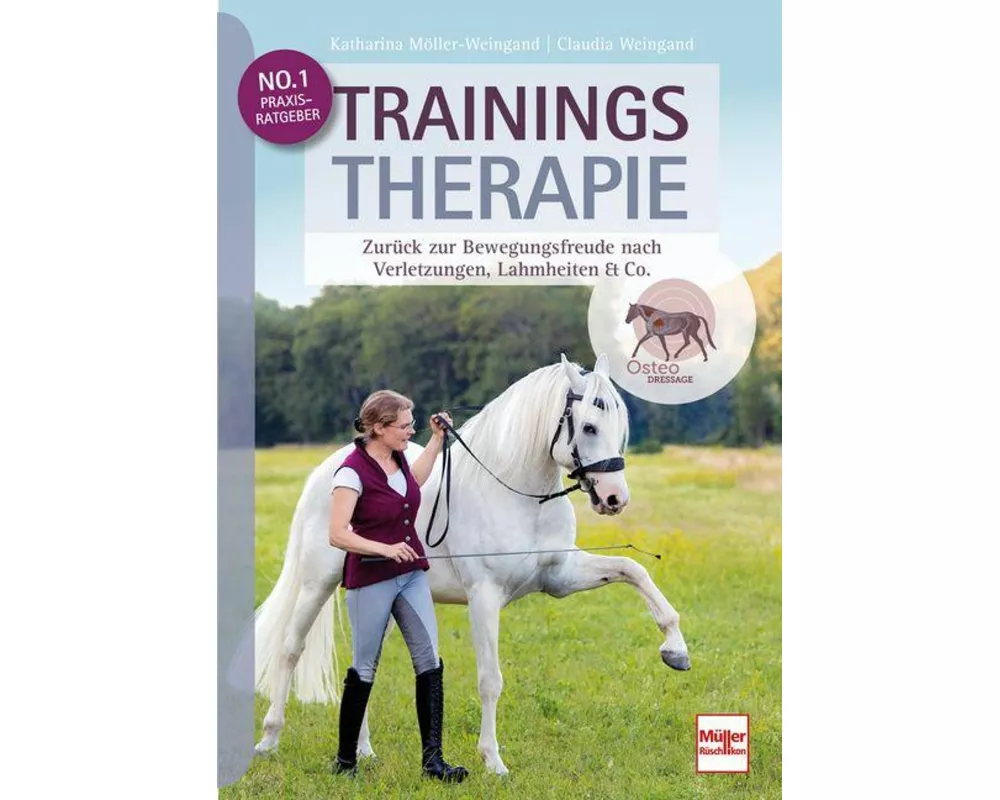Trainingstherapie