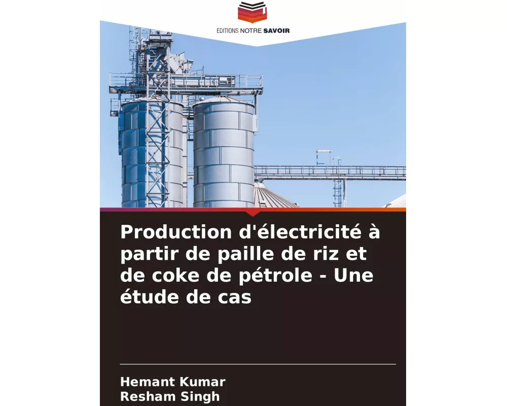 Production d'électricité à partir de paille de riz et de coke de pétrole - Une étude de cas