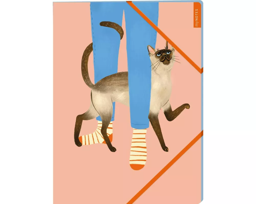 myNOTES Papeterie: Sammelmappe Katzen regieren die Welt