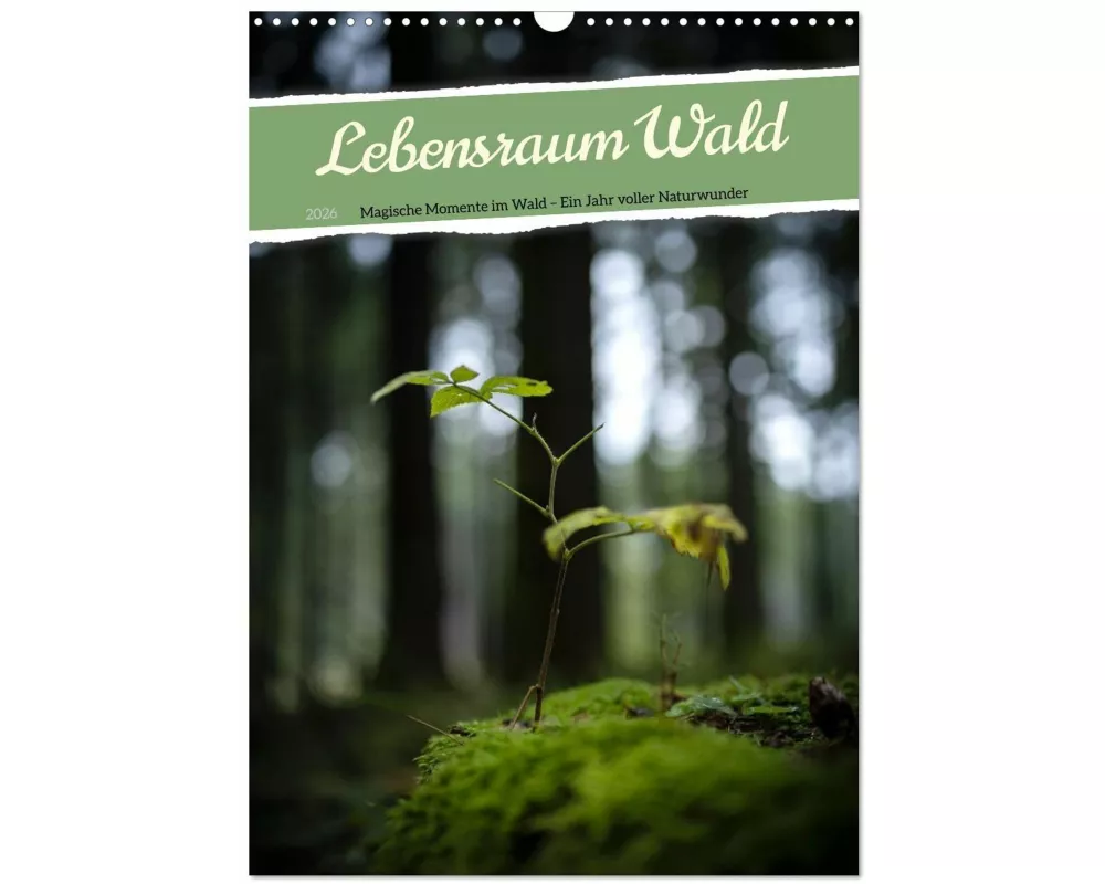 Lebensraum Wald (Wandkalender 2026 DIN A3 hoch), CALVENDO Monatskalender