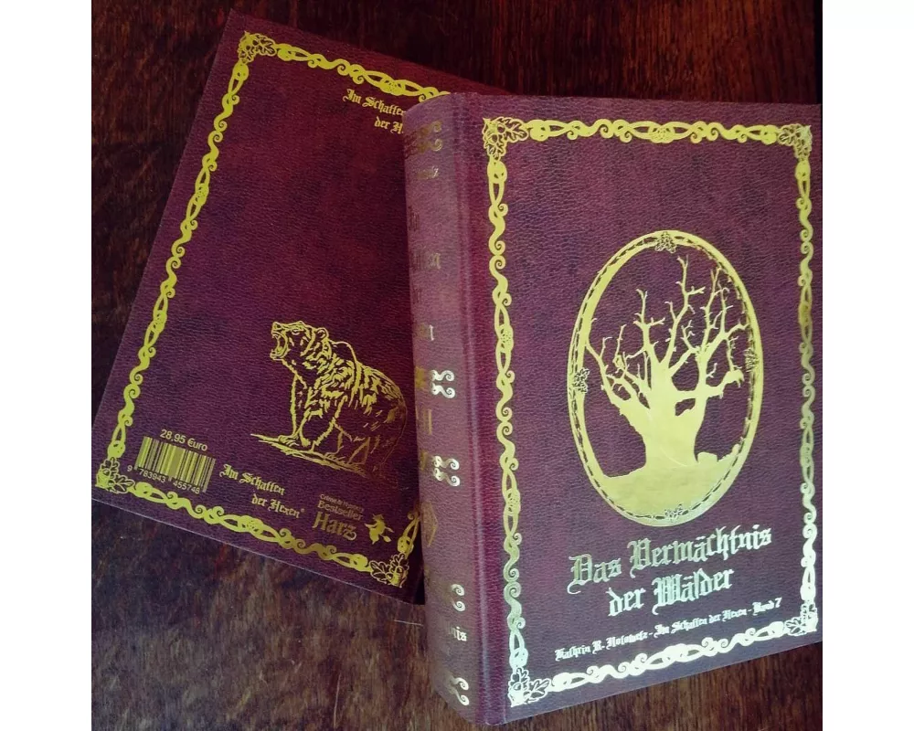 Im Schatten der Hexen VII