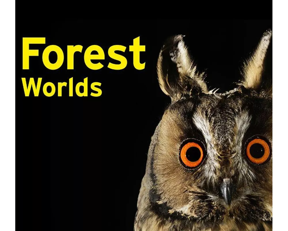 Forest Worlds