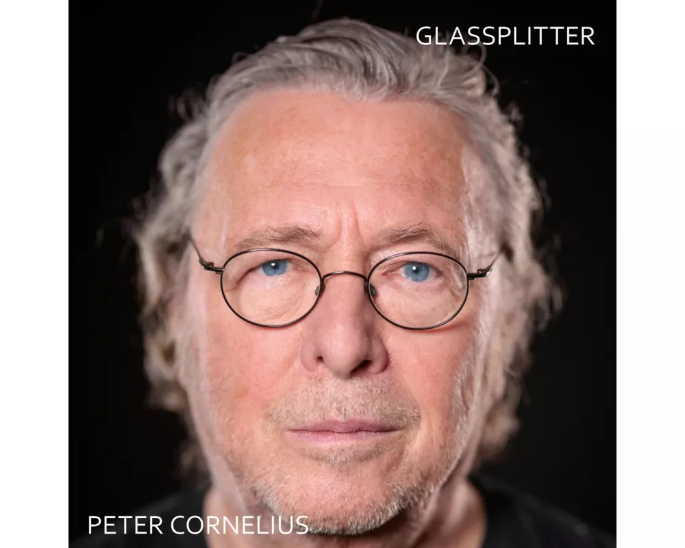 Glassplitter