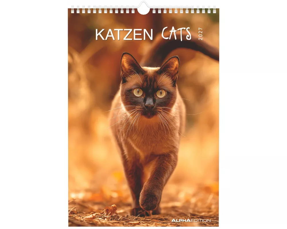 Katzen 2027
