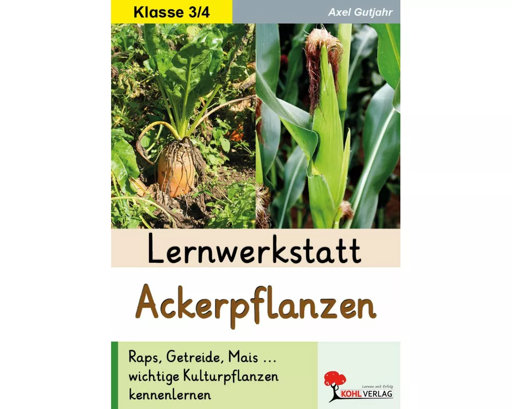 Lernwerkstatt Ackerpflanzen