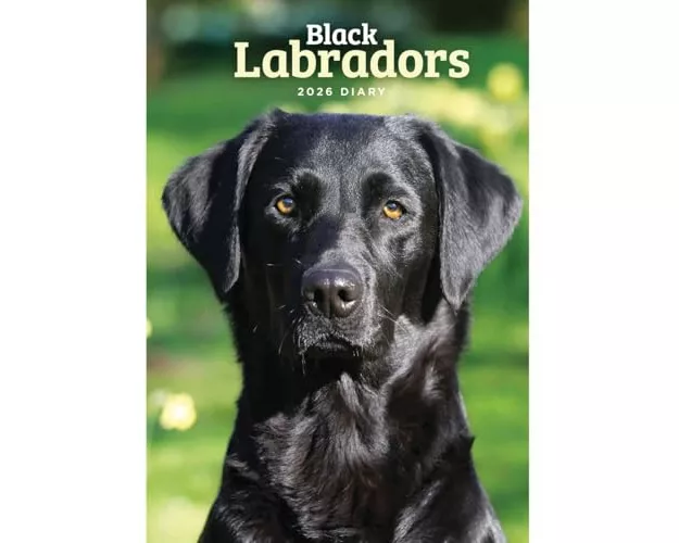 Labrador Retrievers Black A5 Diary 2026