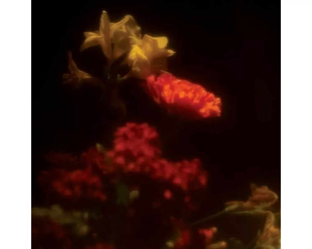 Hypnagogie