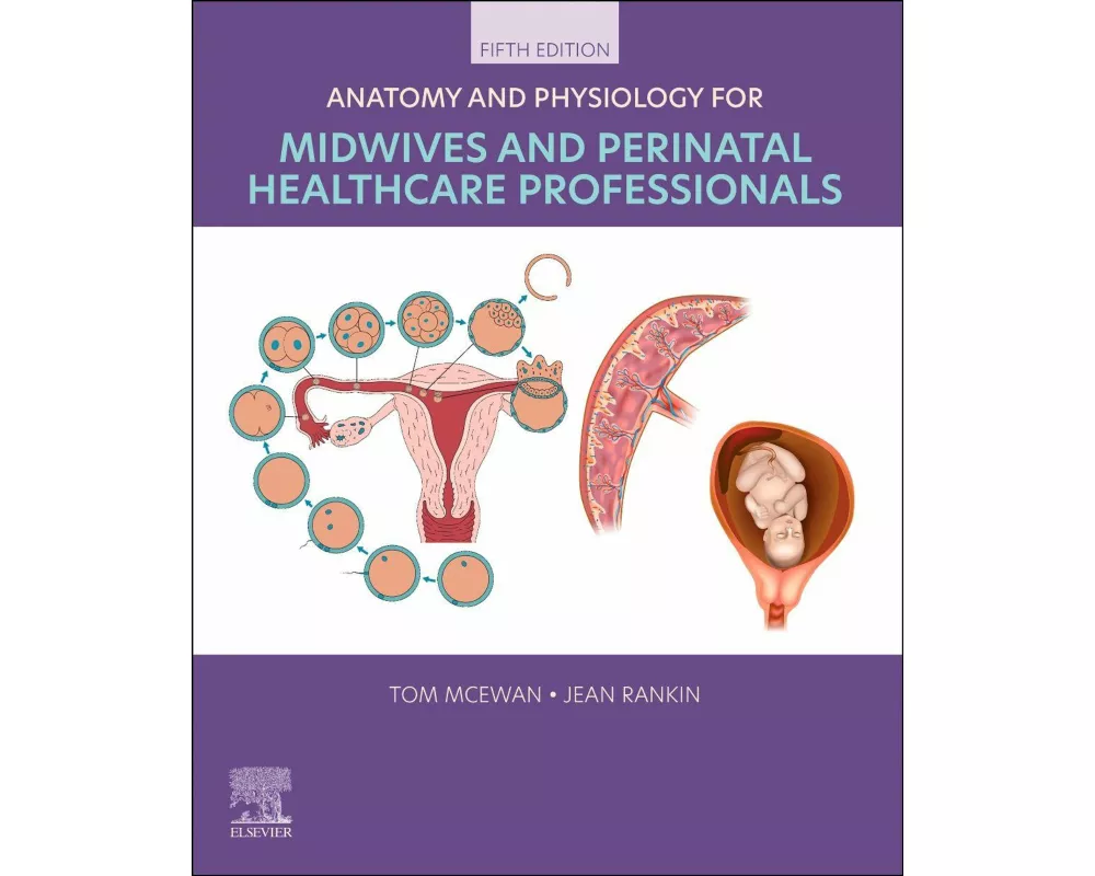 Anatomy and Physiology for Midwives and Perinatal Healthcare Professionals