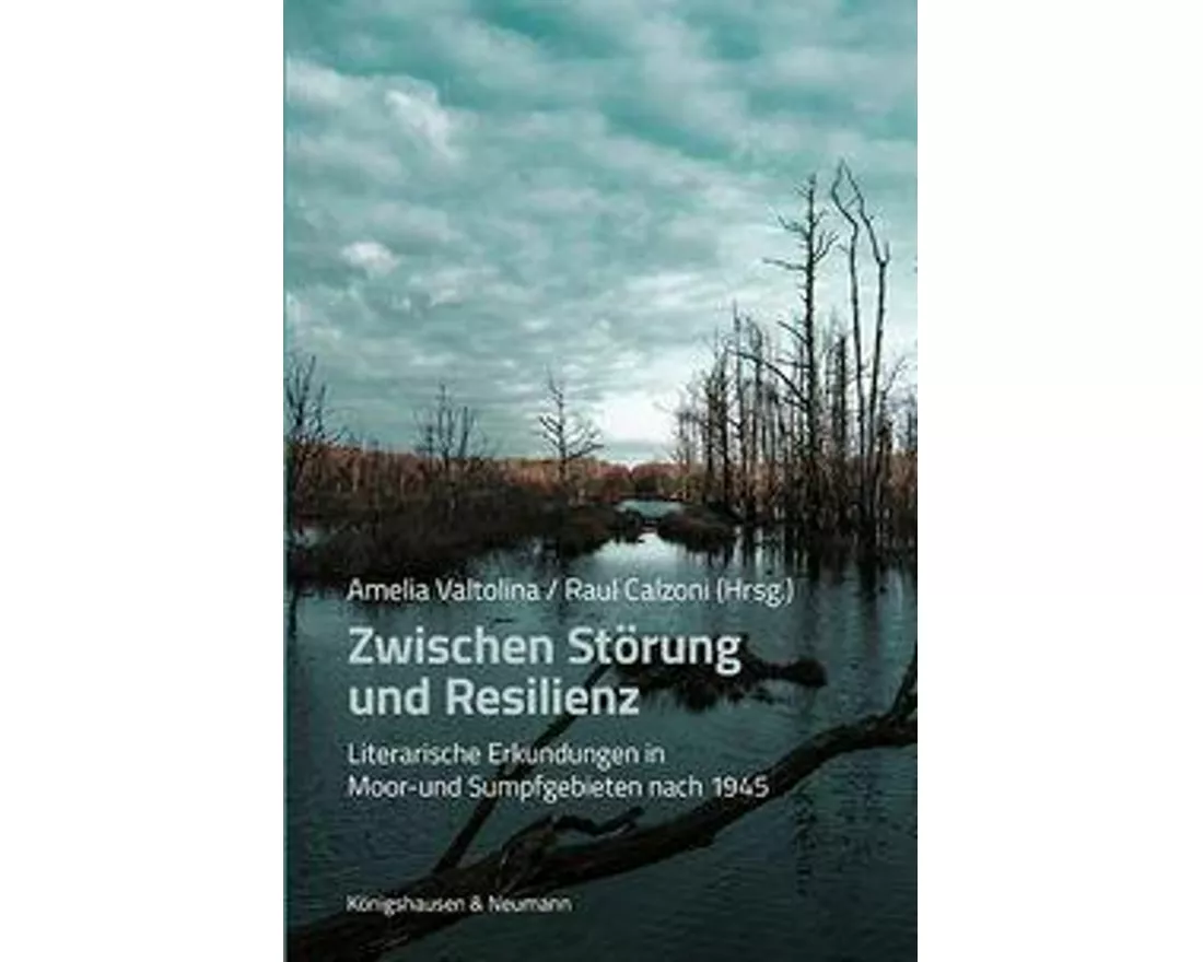 Zwischen Störung und Resilienz