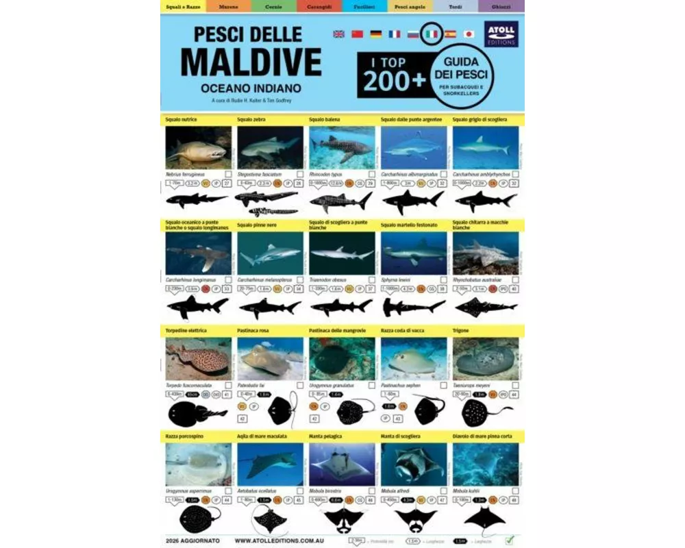 Maldive Guida Dei Pesci