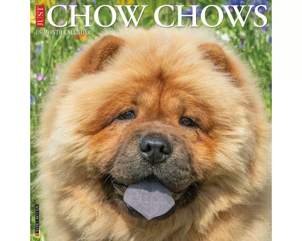 Chow Chows 2026 12 X 12 Wall Calendar