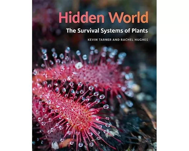 Hidden World
