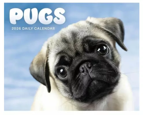 Pugs Box Calendar 2026