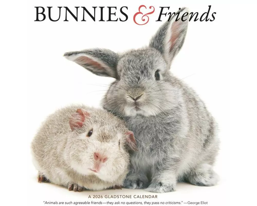 Bunnies & Friends