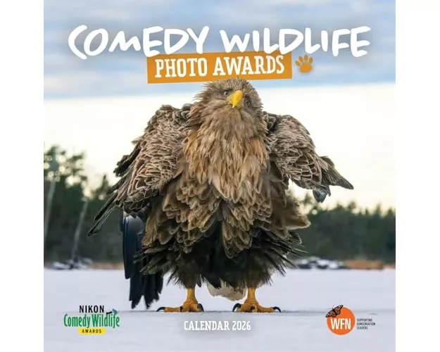 Comedy Wildlife Photography Awards Squar
