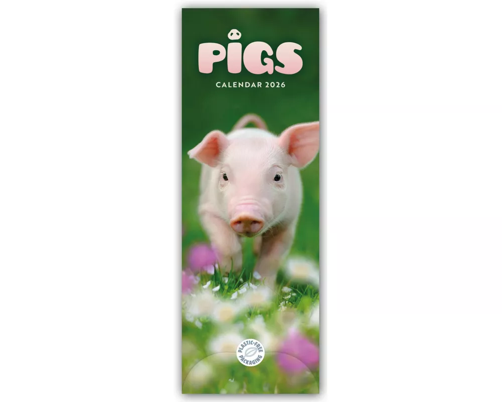 Pigs Slim Calendar 2026