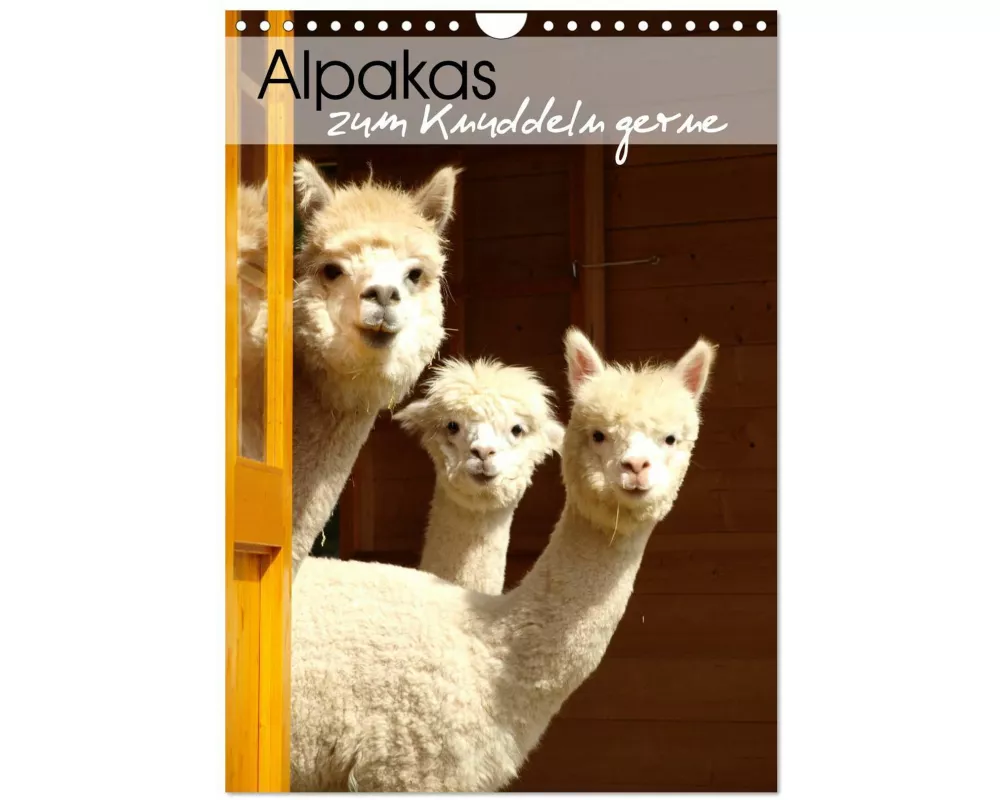 Alpakas zum Knuddeln gerne (Wandkalender 2026 DIN A4 hoch), CALVENDO Monatskalender