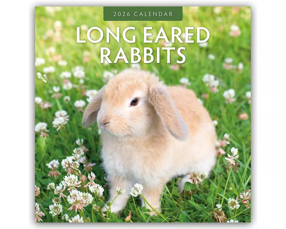 Long Eared Rabbits 2026 Square Wall Calendar