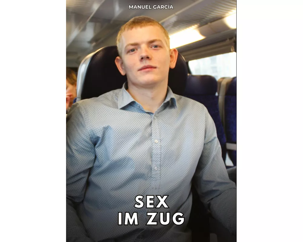 Sex im Zug