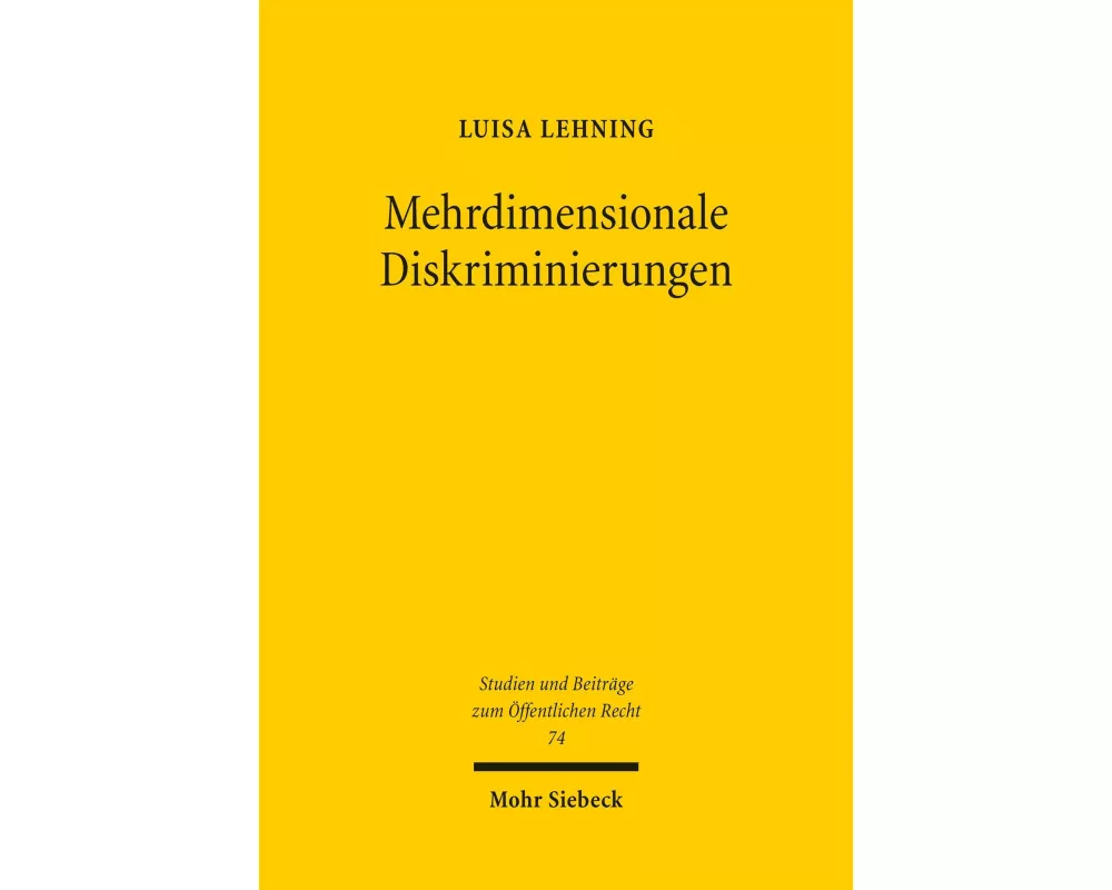 Mehrdimensionale Diskriminierungen