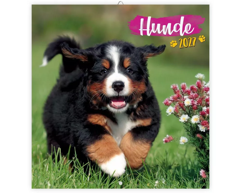 TRÖTSCH - Broschürenkalender Hunde 2027