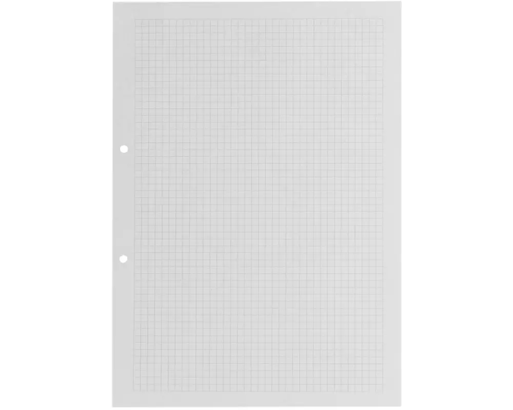 office focus Ringbucheinlagen FSC, Rand rechts 5 mm Kariert