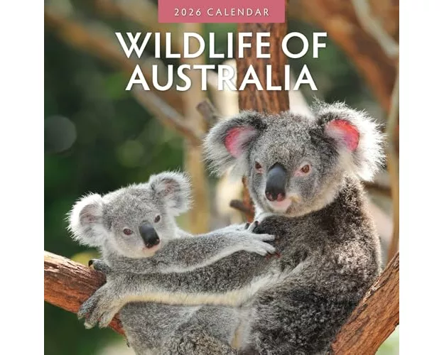 Wildlife of Australia 2026 Square Wall Calendar