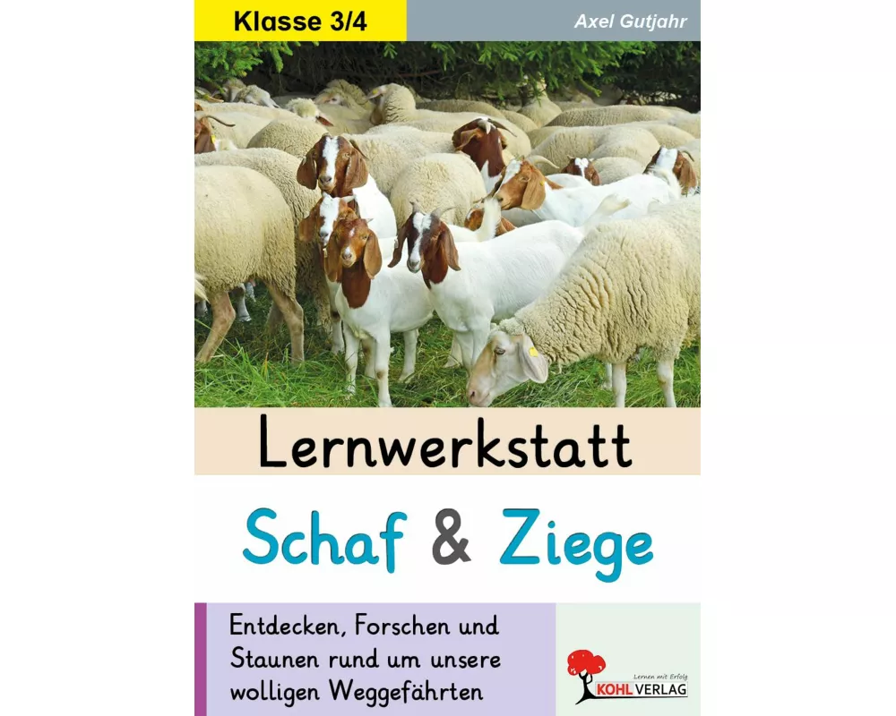 Lernwerkstatt Schaf und Ziege