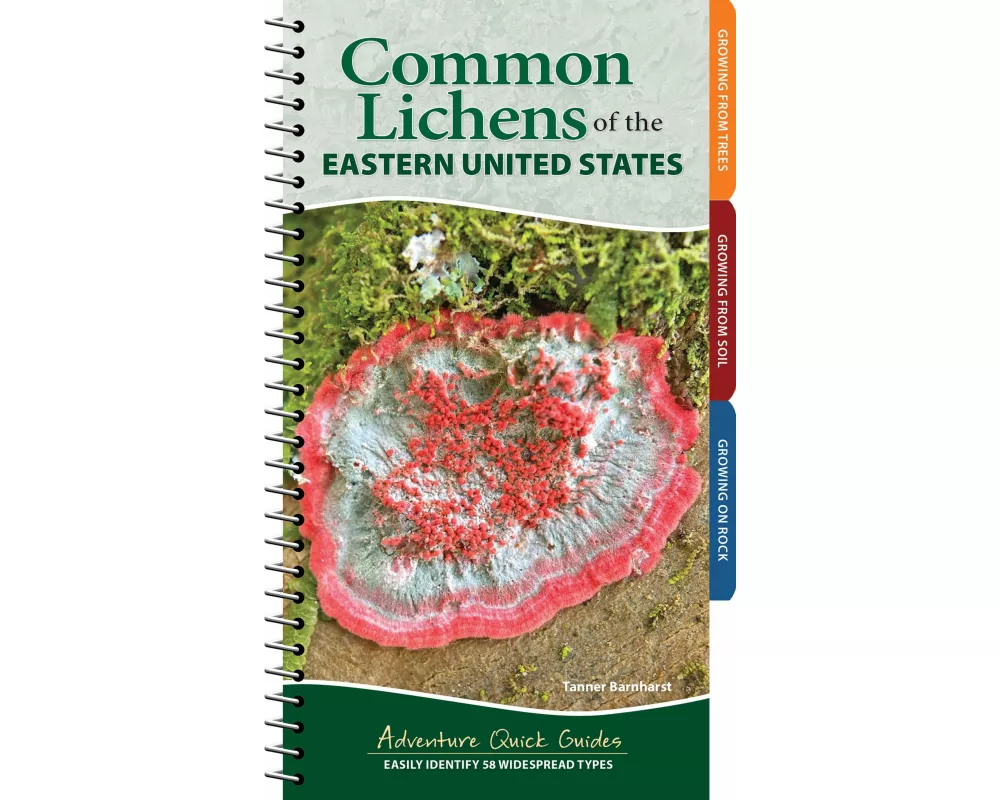 Common Lichens of the Eastern United States