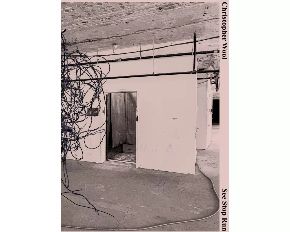 Christopher Wool: See Stop Run