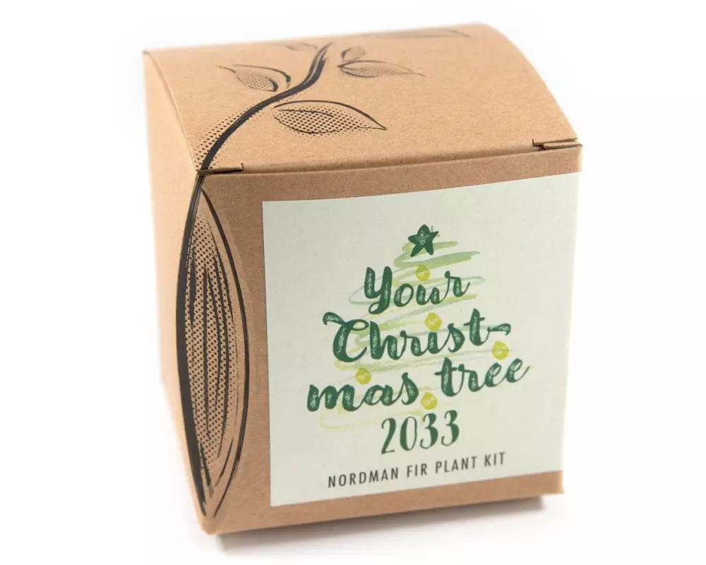 Naturkraftwerk Anzuchtset Your Christmas Tree 2033, mit Nordmanntanne