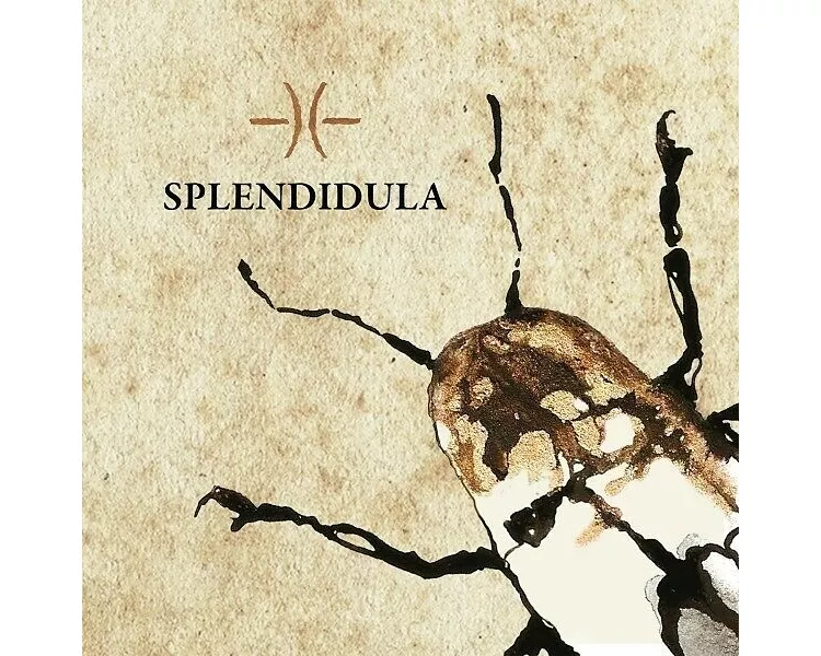 Splendidula