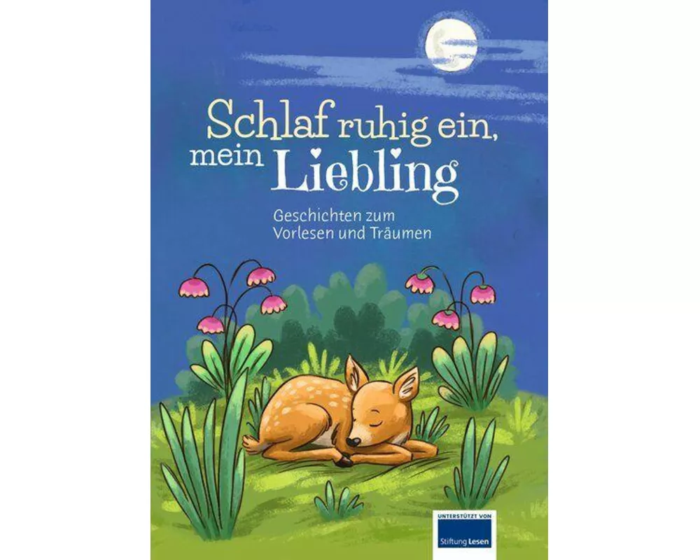 Schlaf ruhig ein, mein Liebling