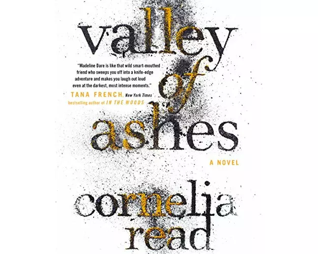 Valley of Ashes