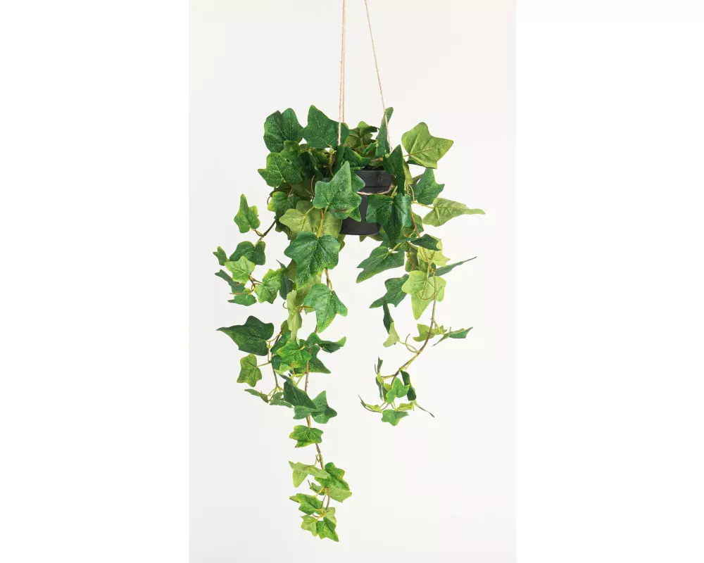 Botanic-Haus Kunstpflanze Efeu hängend 85 cm