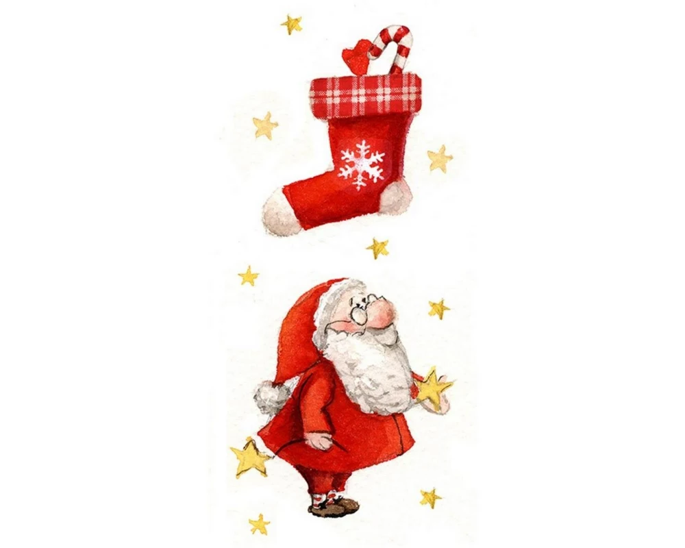 Braun + Company Taschentücher Little Nick, 10 Stück