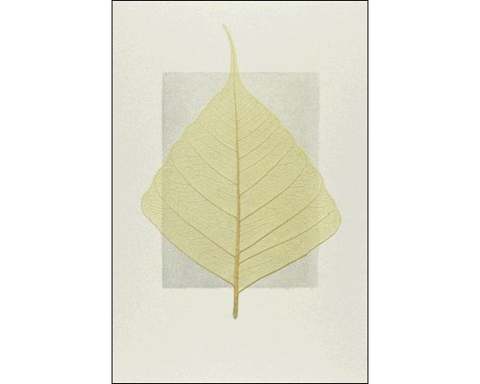 ABC Trauerkarte Blatt 1120010400 B6