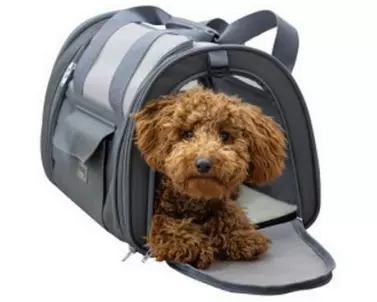 Kerbl Vacation Air 43 x 28 x 28 cm Grau