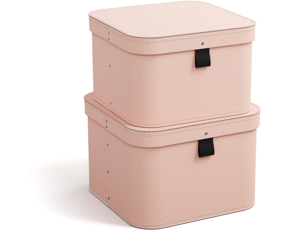 BIGSO BOX OF SWEDEN Aufbewahrungsbox Ludvig 746252133FL0 dusty pink 2er-Set