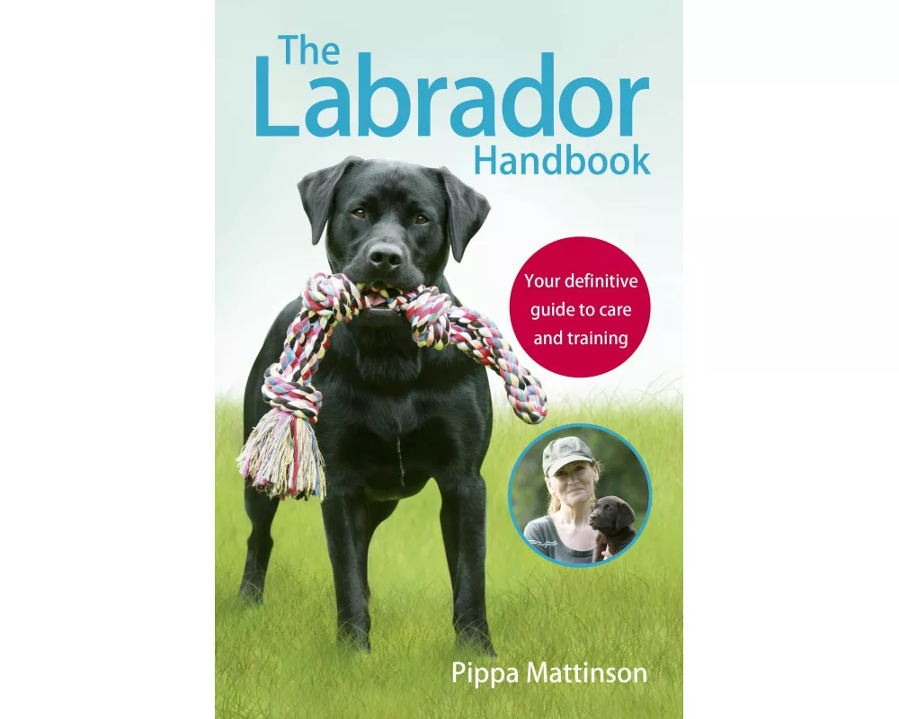 The Labrador Handbook