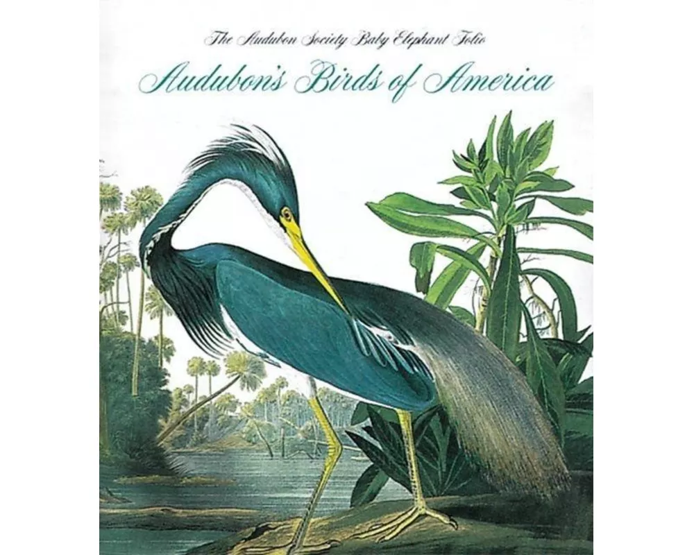 Audubon's Birds of America