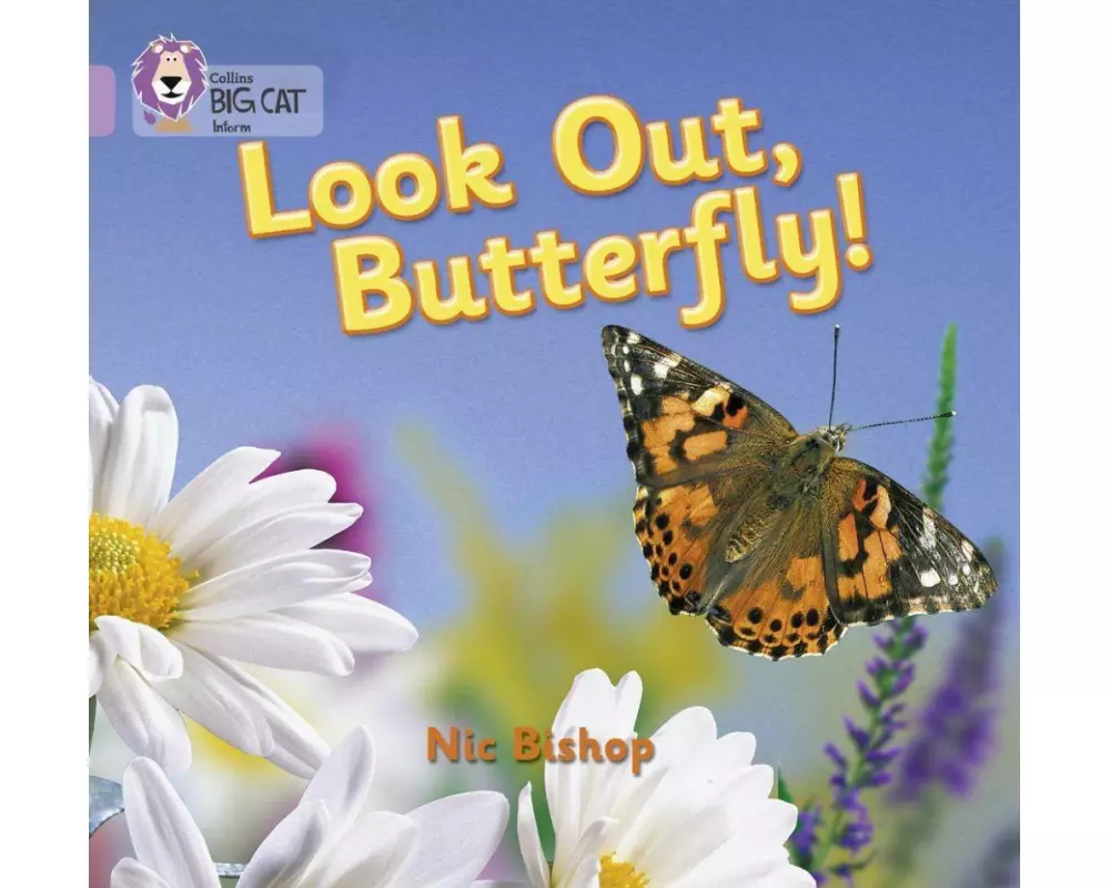 Look Out Butterfly!