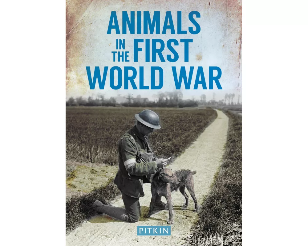 Animals in the First World War