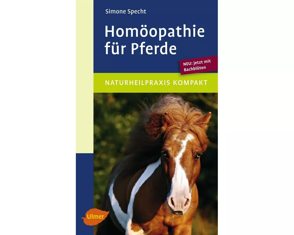 Homöopathie für Pferde