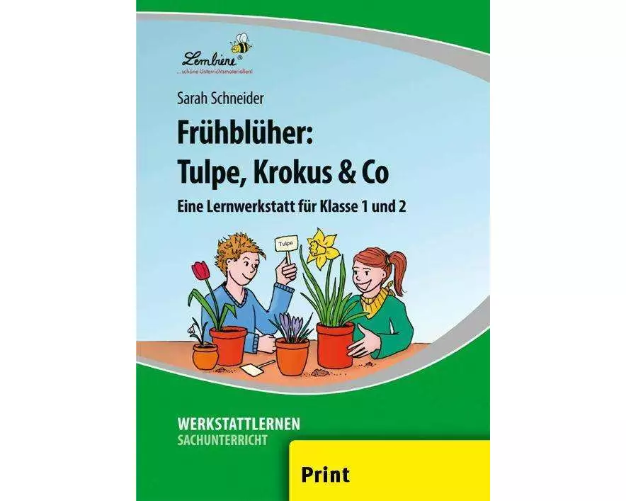 Frühblüher: Tulpe, Krokus & Co (PR)
