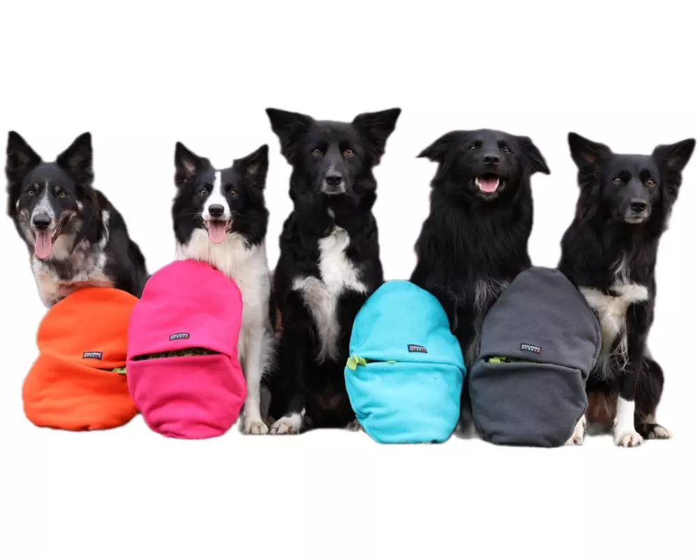 KNAUDER'S BEST Hunde-Spielzeug Schnüffelei Stein