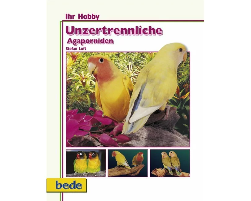 Ihr Hobby Unzertrennliche Agaporniden