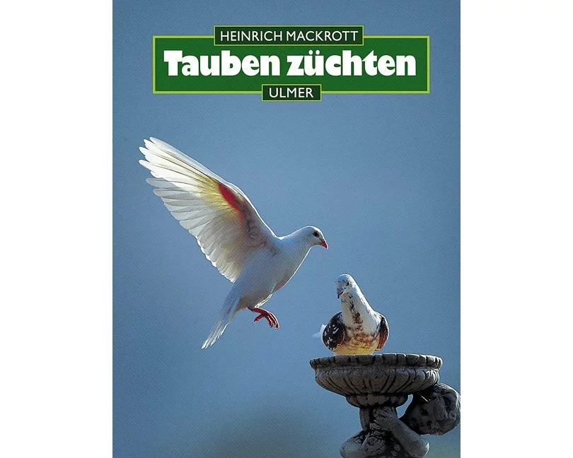 Tauben züchten